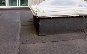 disadvantages of New House flat roofs