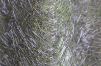 New House fibreglass roof work